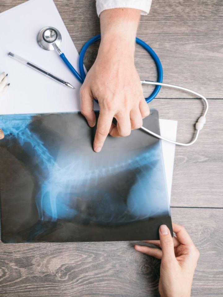 Clôture électrique Québec