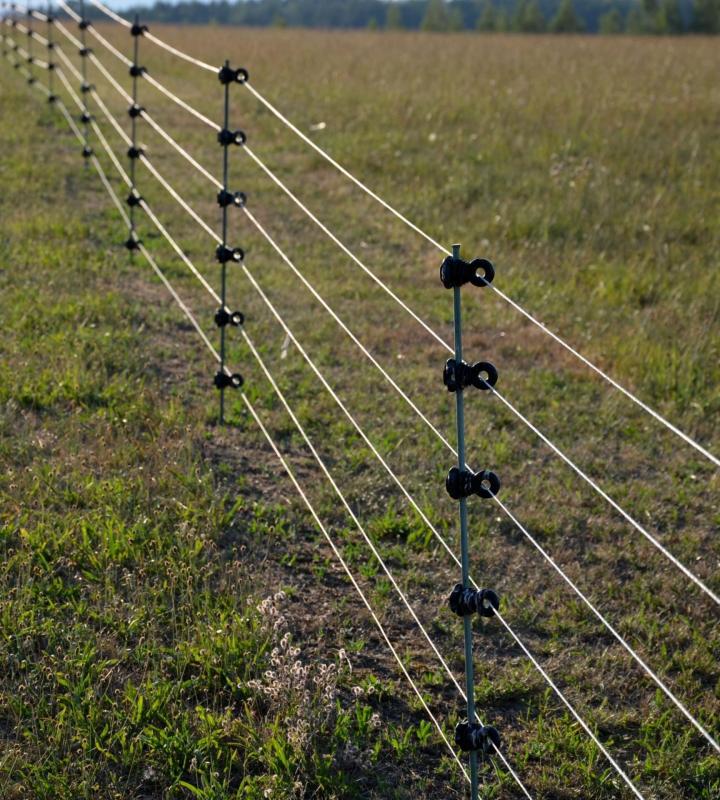 Electrical Fence Beaumont Quebec