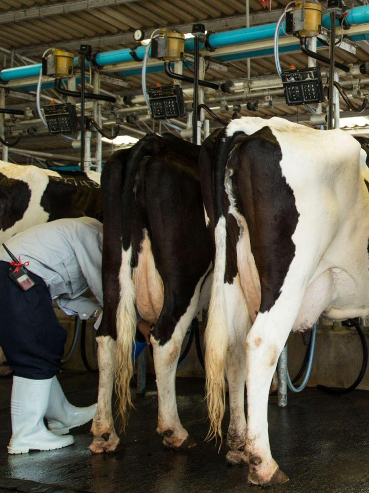 Fournitures pour fermes laitières Québec