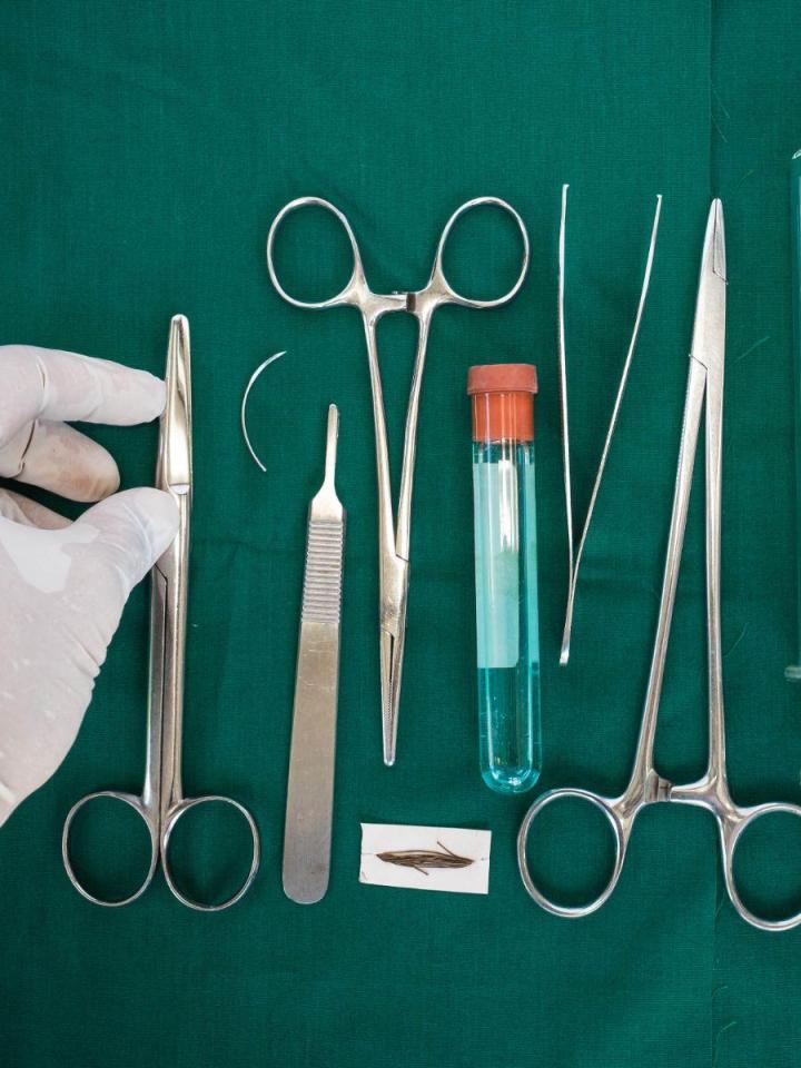 Vente d’équipements vétérinaires au Québec